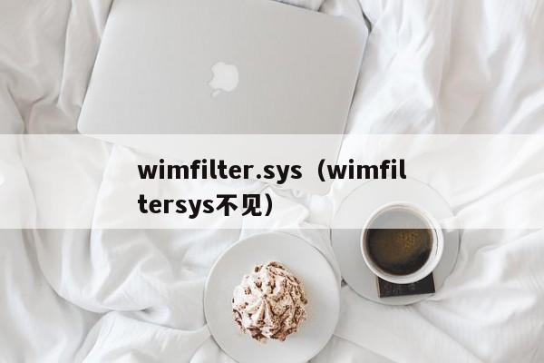 wimfilter.sys（wimfiltersys不见）